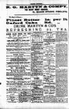 Penarth Chronicle and Cogan Echo Saturday 11 May 1889 Page 4