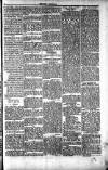 Penarth Chronicle and Cogan Echo Saturday 08 June 1889 Page 5