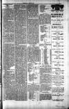 Penarth Chronicle and Cogan Echo Saturday 08 June 1889 Page 7