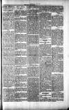 Penarth Chronicle and Cogan Echo Saturday 15 June 1889 Page 5