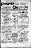 Penarth Chronicle and Cogan Echo Saturday 16 November 1889 Page 1
