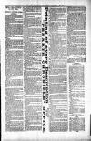 Penarth Chronicle and Cogan Echo Saturday 23 November 1889 Page 3