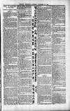 Penarth Chronicle and Cogan Echo Saturday 30 November 1889 Page 3