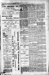 Penarth Chronicle and Cogan Echo Saturday 28 December 1889 Page 5