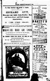 Penarth Chronicle and Cogan Echo Saturday 18 February 1893 Page 11