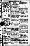 Penarth Chronicle and Cogan Echo Saturday 01 April 1893 Page 5