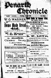 Penarth Chronicle and Cogan Echo Saturday 10 June 1893 Page 1