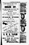 Penarth Chronicle and Cogan Echo Saturday 11 November 1893 Page 11