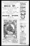 Penarth Chronicle and Cogan Echo Saturday 19 October 1895 Page 11