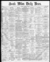 South Wales Daily News Friday 24 January 1873 Page 1