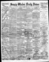 South Wales Daily News Wednesday 02 June 1875 Page 1