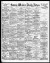 South Wales Daily News Thursday 10 June 1875 Page 1