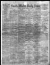 South Wales Daily News Saturday 01 January 1876 Page 1