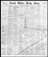 South Wales Daily News Friday 11 January 1878 Page 1