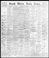 South Wales Daily News Saturday 09 February 1878 Page 1