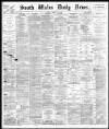 South Wales Daily News Friday 29 March 1878 Page 1