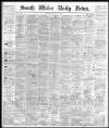 South Wales Daily News Tuesday 02 April 1878 Page 1