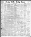 South Wales Daily News Monday 29 April 1878 Page 1