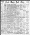 South Wales Daily News Friday 03 May 1878 Page 1