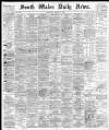 South Wales Daily News Saturday 03 August 1878 Page 1