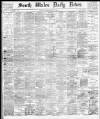 South Wales Daily News Tuesday 10 September 1878 Page 1
