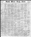 South Wales Daily News Wednesday 27 November 1878 Page 1