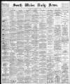 South Wales Daily News Tuesday 03 December 1878 Page 1