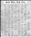South Wales Daily News Wednesday 04 December 1878 Page 1
