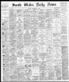 South Wales Daily News Friday 27 December 1878 Page 1