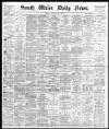 South Wales Daily News Monday 20 January 1879 Page 1