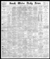 South Wales Daily News Wednesday 02 April 1879 Page 1