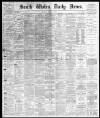 South Wales Daily News Monday 30 June 1879 Page 1