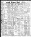 South Wales Daily News Wednesday 24 December 1879 Page 1