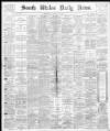 South Wales Daily News Wednesday 14 January 1880 Page 1