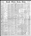 South Wales Daily News Friday 21 May 1880 Page 1
