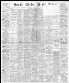 South Wales Daily News Wednesday 30 June 1880 Page 1