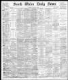 South Wales Daily News Monday 02 August 1880 Page 1