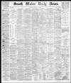 South Wales Daily News Saturday 28 August 1880 Page 1