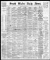 South Wales Daily News Tuesday 19 October 1880 Page 1
