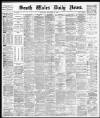 South Wales Daily News Saturday 06 November 1880 Page 1