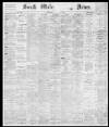 South Wales Daily News Saturday 15 January 1881 Page 1
