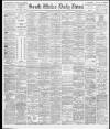 South Wales Daily News Saturday 22 January 1881 Page 1