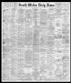 South Wales Daily News Friday 01 April 1881 Page 1