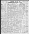 South Wales Daily News Wednesday 04 May 1881 Page 1