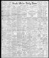 South Wales Daily News Wednesday 11 May 1881 Page 1