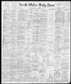 South Wales Daily News Wednesday 04 January 1882 Page 1