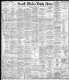 South Wales Daily News Monday 03 July 1882 Page 1
