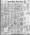 South Wales Daily News Saturday 23 December 1882 Page 1