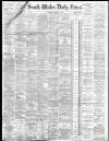 South Wales Daily News Saturday 28 June 1884 Page 1