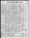 South Wales Daily News Friday 14 July 1893 Page 1